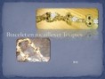 Bracelet Papillon